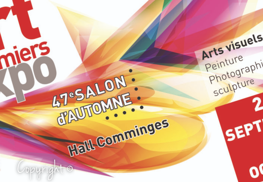 Salon d'ArtDu 26 septembre au 6 octobre 2019Colomiers (31)