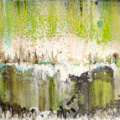 Troglodytes* (50x50)