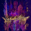 Gizeh (50x65)