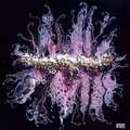 Setenil* (30x30)