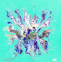 Aequorea* (30x30)