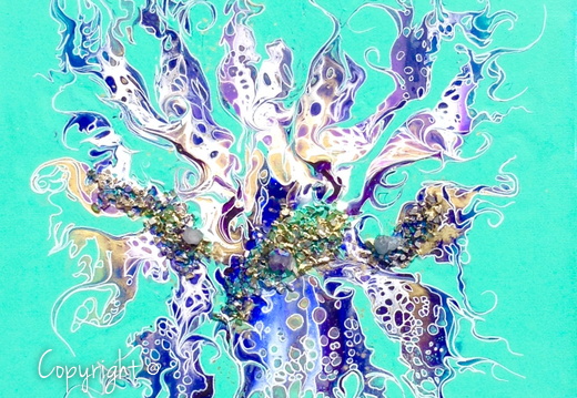 Aequorea* (30x30)
