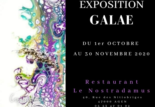 Restaurant Le NostradamusDu 1er octobre au 30 novembre 2020 Agen (47)