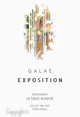 Restaurant La Toque Blanche2020-2021Pujols (47)
