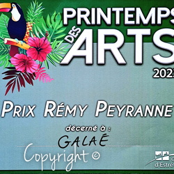 Prix Artistiques