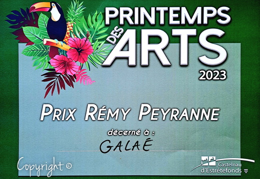 Prix Artistiques