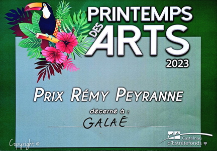 Prix Remy Peyranne, Castelnaud'Estrétefonds